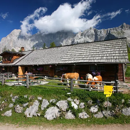 Lejlighed Enns By Schladmingurlaub *