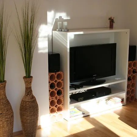 Apartment Enns Schladming