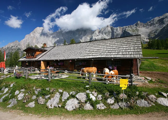 Apartment Enns By Schladmingurlaub *